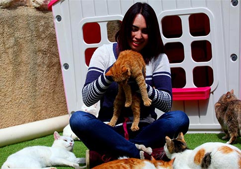 Palestina Heba Al-Junaidi hace un refugio para gatos callejeros