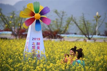 Flores de cole en el condado de Yuqing