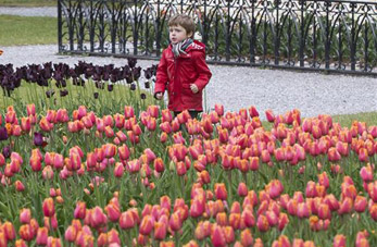 Festival de tulipanes en Morges, Suiza