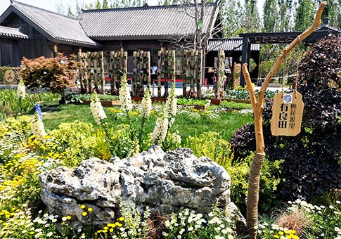 Imágenes de flores en la Exposición Internacional de Horticultura de Beijing 2019