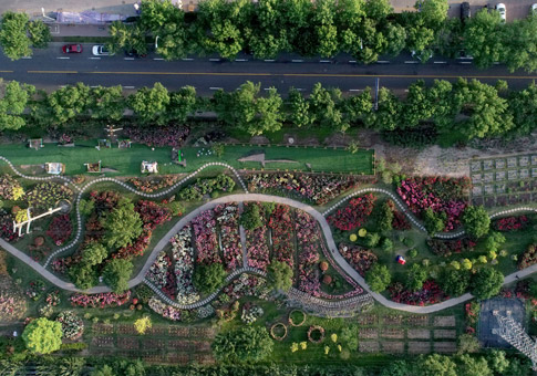Jardín botánico en Tianjin