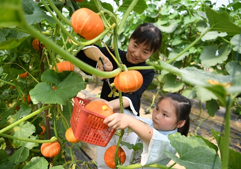 Industria agrícola y el turismo rural en Anhui