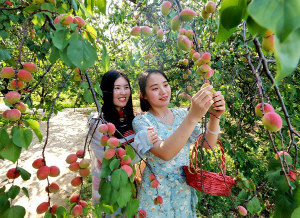 China disfrutará de otra abundante cosecha este año
