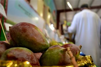 Festival de mango en Hyderabad