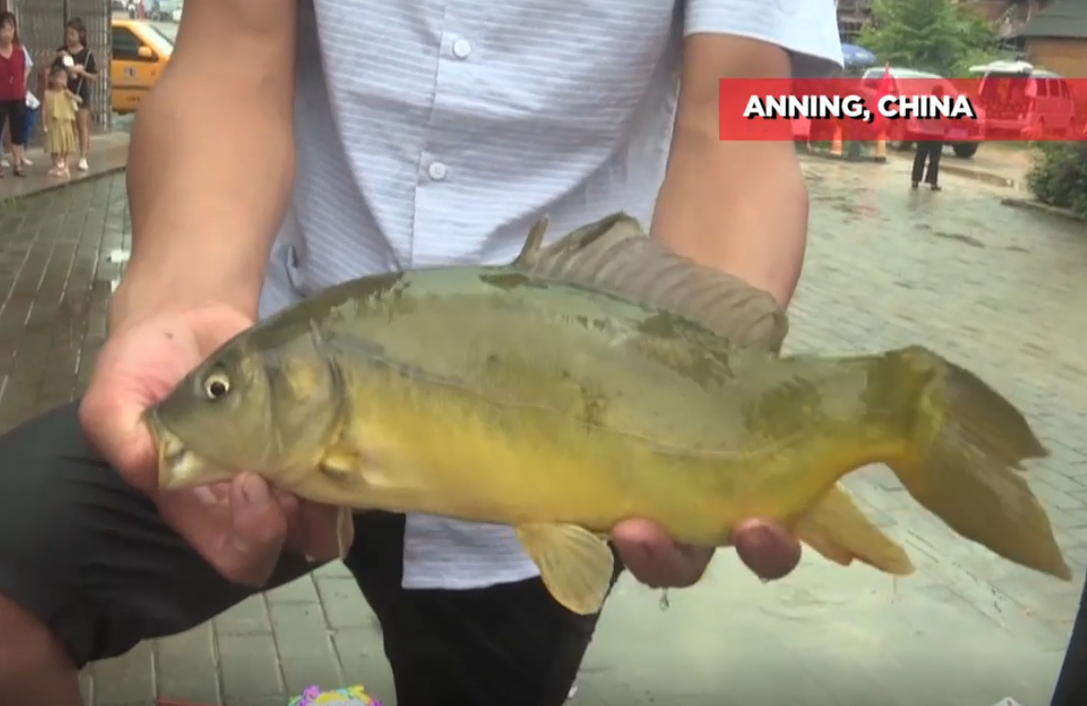 Festival de captura de peces de la etnia miao en China