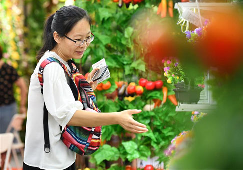Feria de Otoño de Plantas Artificiales en Tianjin