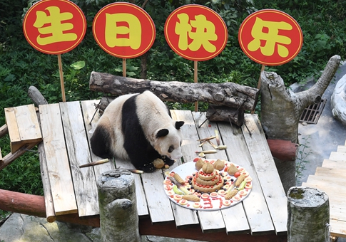 Xinxing, panda gigante cautivo más viejo del mundo