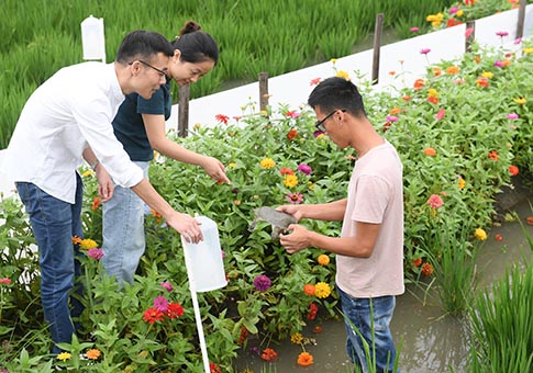 Construcción de sistema de agricultura ecológica en Huzhou, Zhejiang