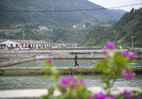 Jiang Kaijun y su base de cultivo de peces