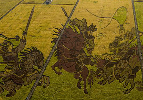 Trabajo de arte realizado en un arrozal en Ningxia