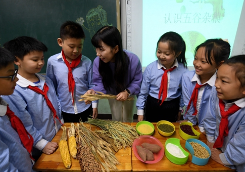 Alumnos aprenden a reconocer granos por Día Mundial de la Alimentación