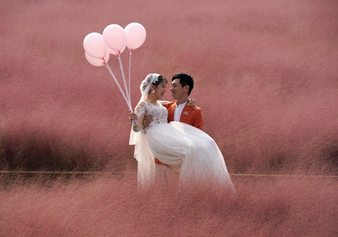 Campo de hierba de cabello rosado en Zhengzhou, Henan