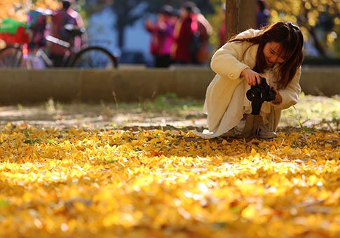 Paisaje de otoño de Universidad Tsinghua en Beijing