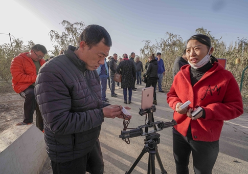 Aldeanos venden jujubes rojos en línea en Xinjiang