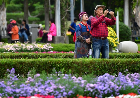 Muestra de Crisantemos en Taipei