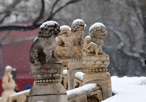 Una nevada cae en Beijing