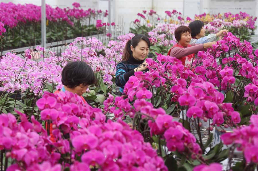 La industria de las flores ha ayudado a mujeres de sus zonas rurales a salir del desempleo