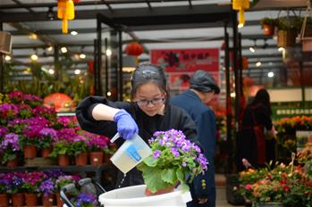 Hunan: Mercado de flores en Changsha
