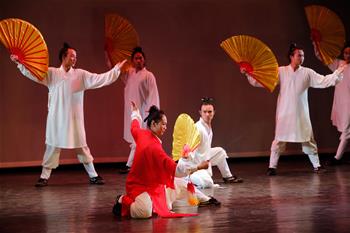 Miembros del grupo Wudang Kung Fu de China realizan presentación en Tel Aviv