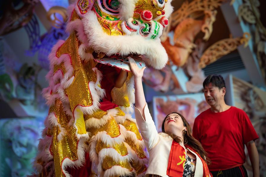 Festival Multicultural en celebración de la Presentación de Gala del Año Nuevo Chino en Wellington
