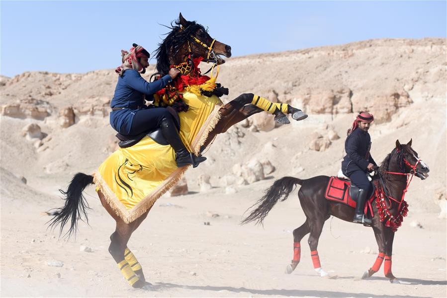 Kuwait: Espectáculo de equitación en la Gobernación de Jahra