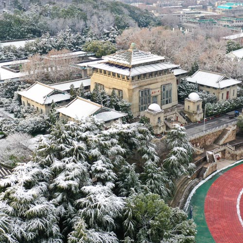 Paisaje de la Universidad Wuhan cubierta de nieve