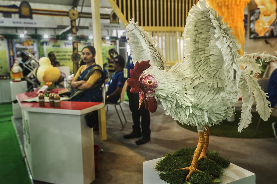 India: La octava Feria Avícola Internacional de Calcuta