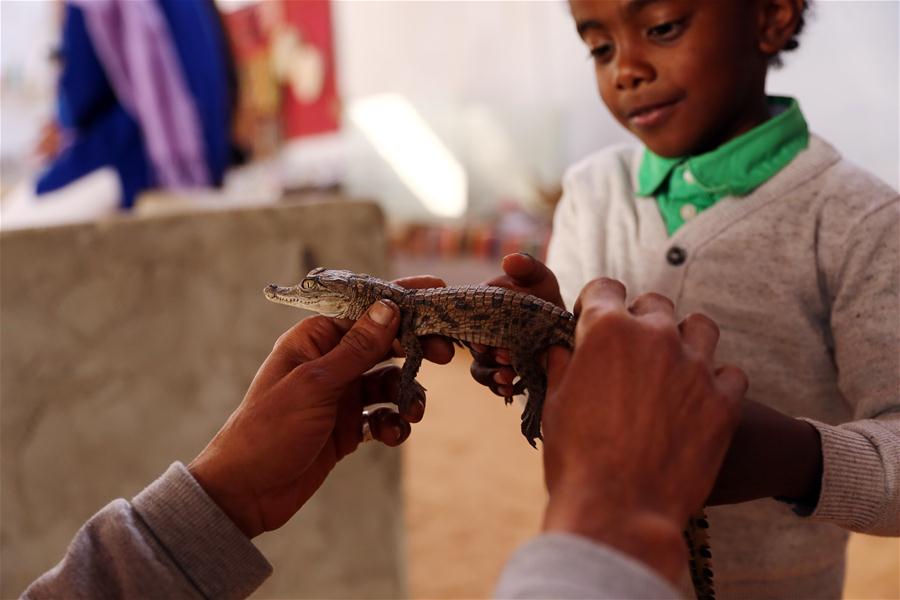 Egipto: Turismo de cocodrilos en Aswan