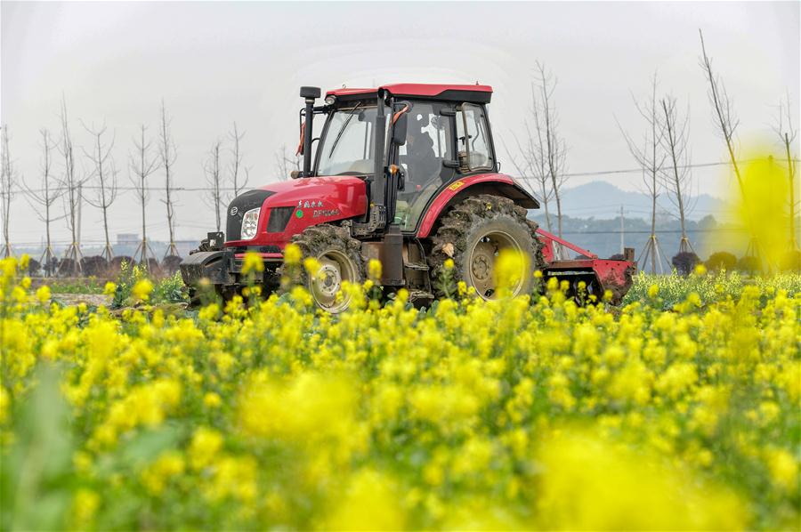 Aldeanos en China ocupados con producción agrícola