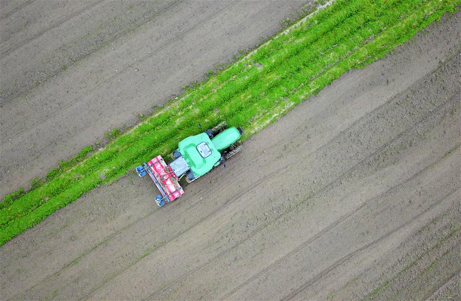 Producción agrícola está en marcha en Guizhou