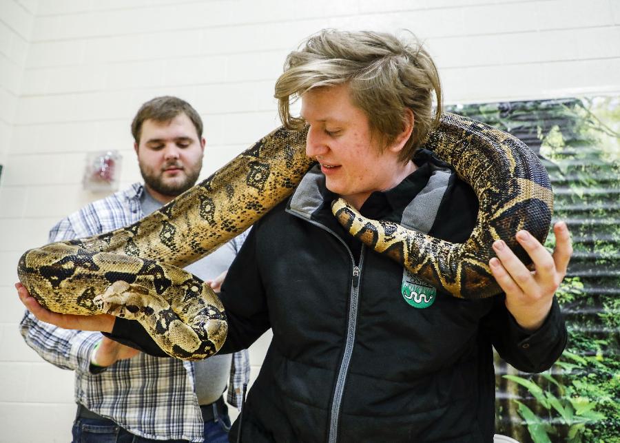 Evento "Reptile Rampage" en Illinois, Estados Unidos