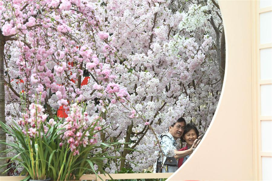 Festival de flores de cerezo "Sakura Matsuri" en Singapur
