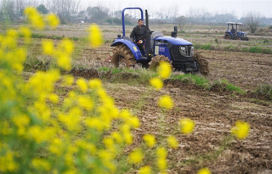 Agricultores manejan maquinaria agrícola para arar la tierra en una granja en Jiangxi