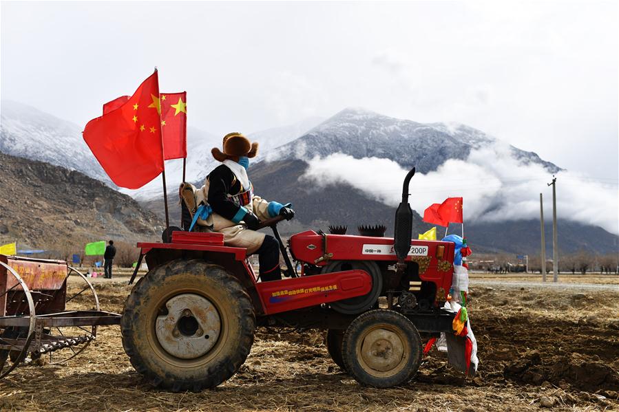 Ceremonia de arado de primavera en Jiaru, Lhasa