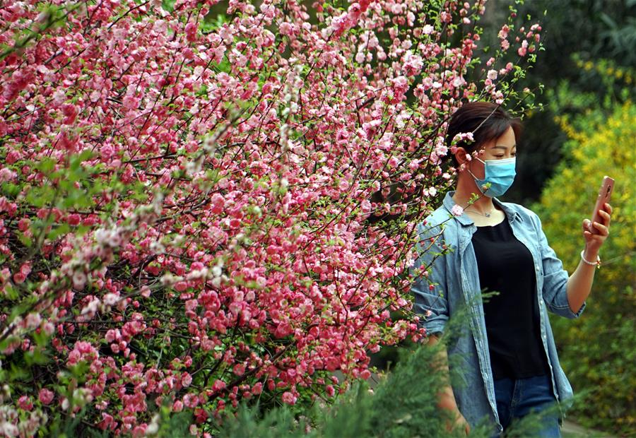 Henan: Flores en parque Bishagang en Zhengzhou