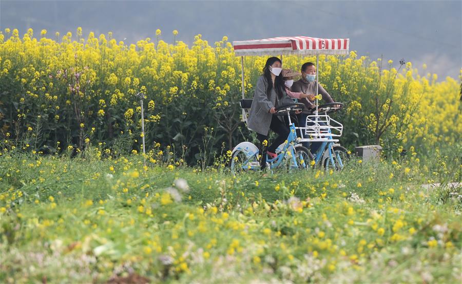 Producción agrícola se reanuda ordenadamente en Dangyang