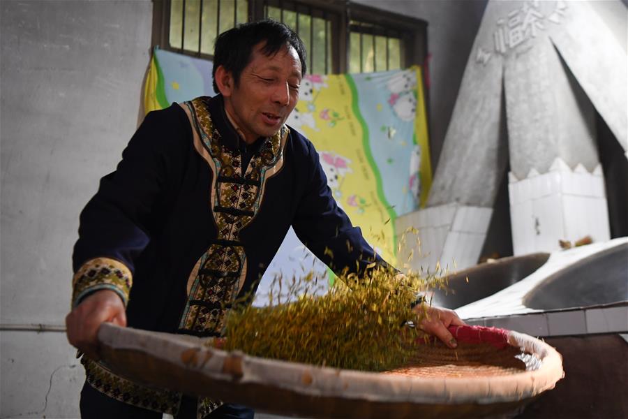 Hunan: Fabricantes de té del distrito de Guzhang están ocupados procesando té tradicional