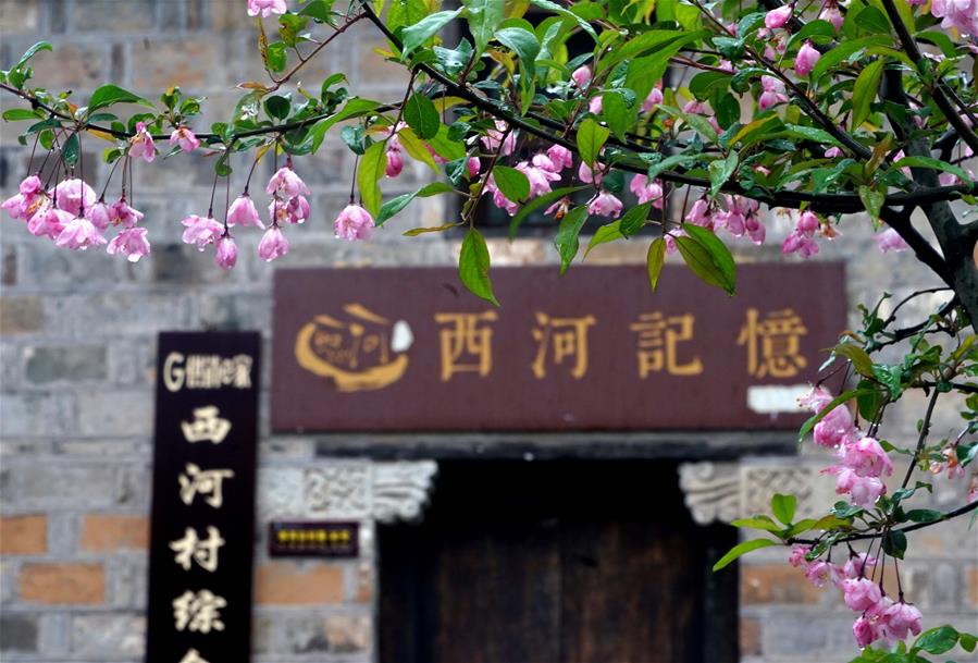 Henan: Paisaje de primavera de la aldea Xihe