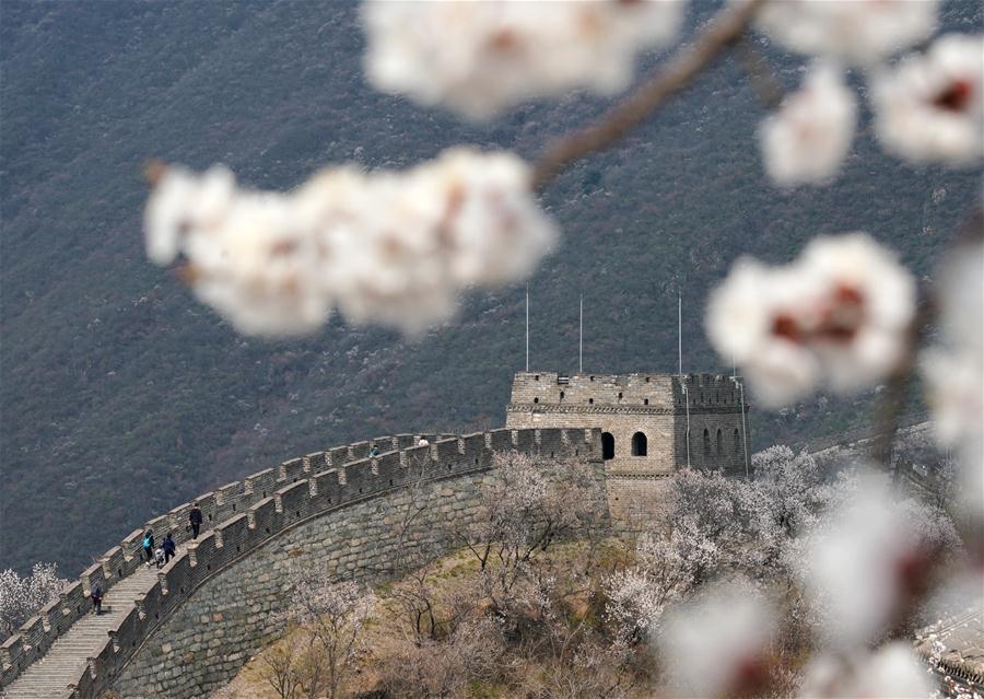 Paisaje primaveral de la sección de Mutianyu de la Gran Muralla en Beijing