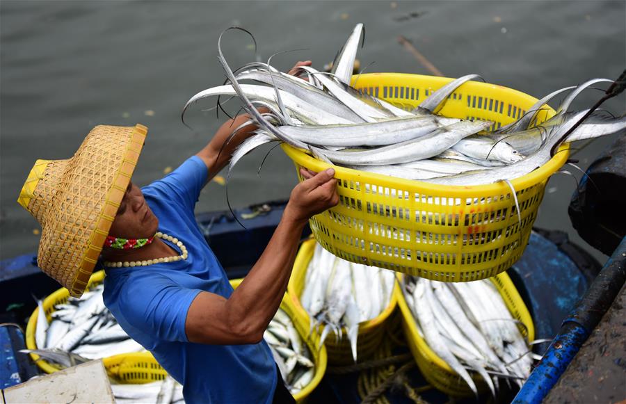 La industria pesquera en Hainan ha reanudado sus operaciones