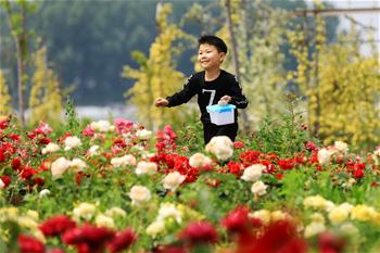 Anhui: Niños disfrutan del tiempo libre en la ciudad de Huaibei