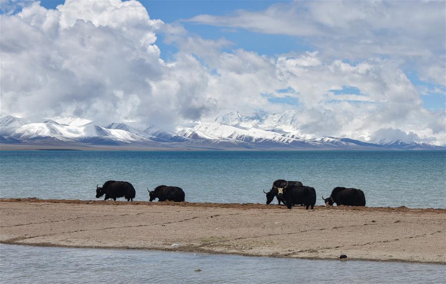 Tíbet: Paisaje de lago Nam Co