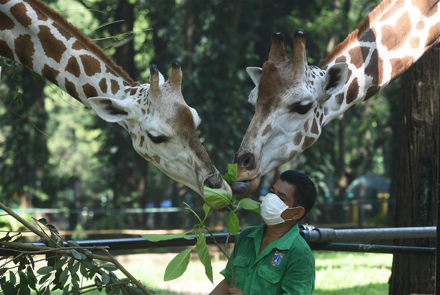 Reabre Zoológico de Ragunan en Indonesia