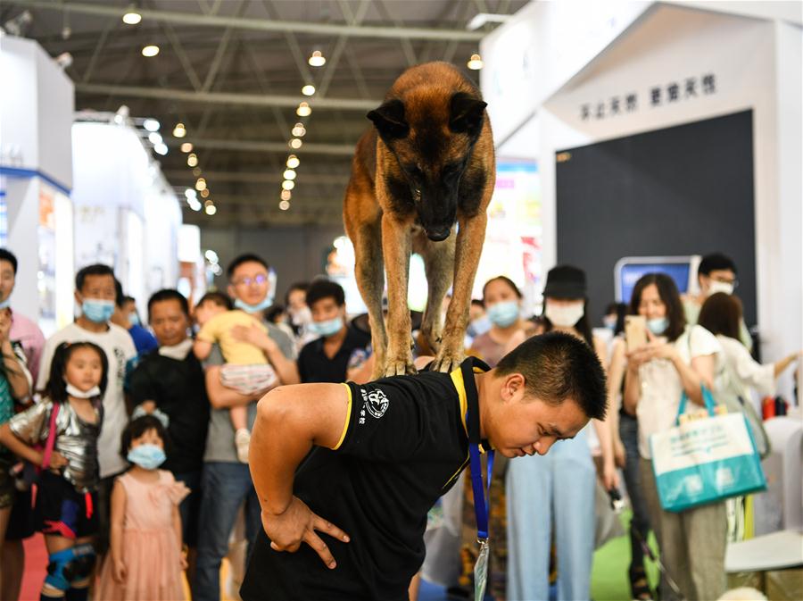 Termina la 9 Exhibición Internacional de Mascotas de Chengdu