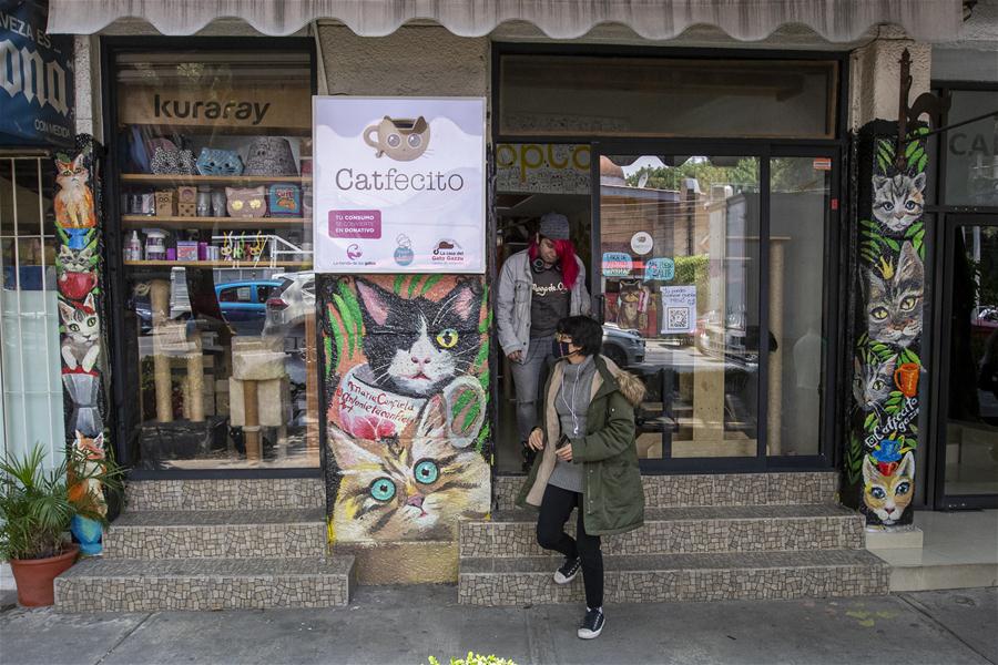 "Catfecito", una cafeter&iacute;a tem&aacute;tica en la Ciudad de M&eacute;xico