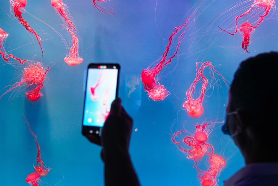 La XIX Expo Feria Internacional de Agricultura y Alimentaci&oacute;n de Changchun de China