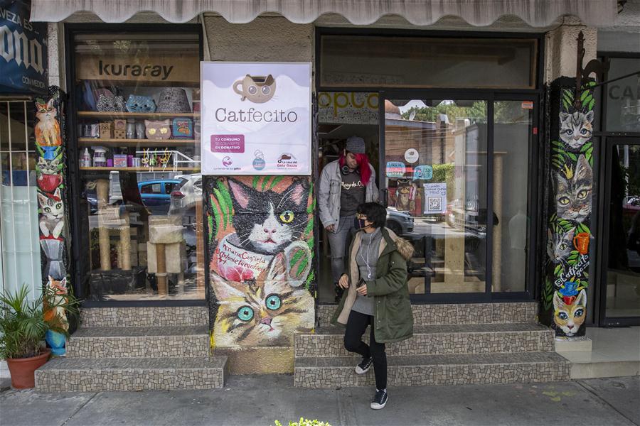 "Catfecito", una cafetería temática en la Ciudad de México