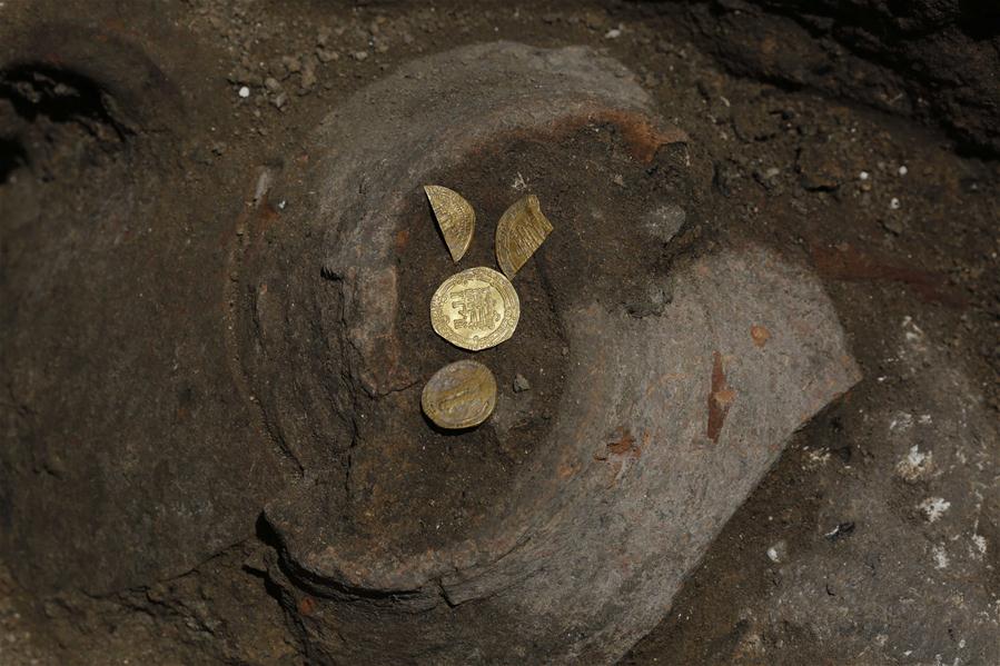 Monedas de oro descubiertas en sitio arqueológico en Israel