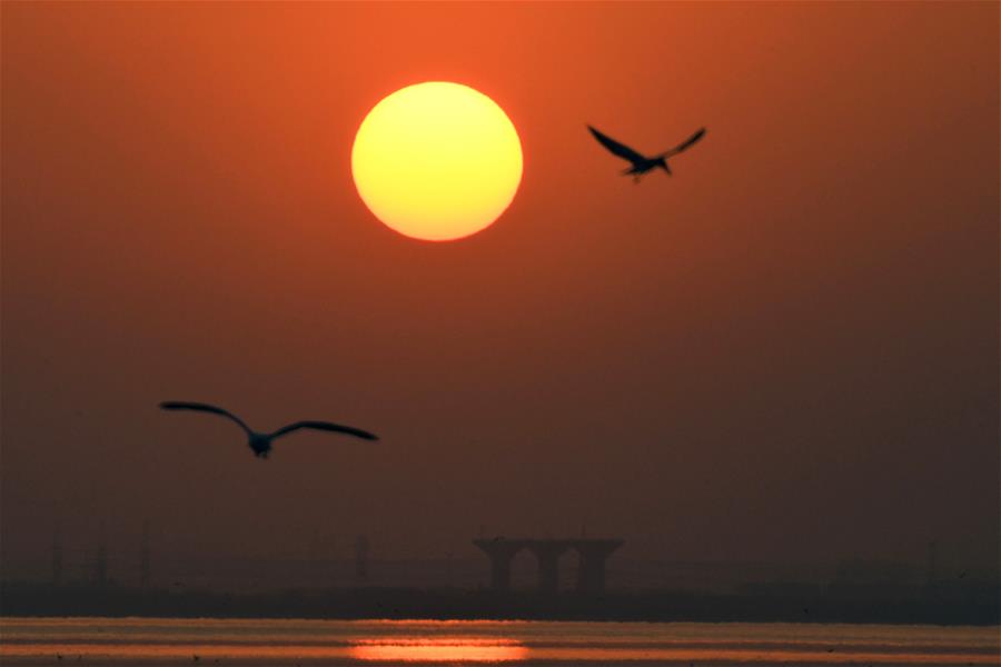 La puesta de Sol en la Ciudad de Kuwait