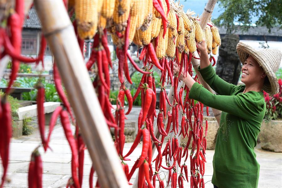 Chile y maíz aireados en aldea de Chengkan en Huangshan, Anhui